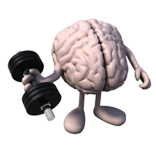 Gehirn Training
